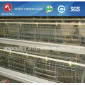 Chicken Farming Equipment for Chicken Layers